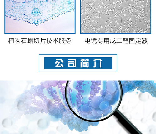 迈斯普 专业酵母双杂交技术服务可靠推荐商家