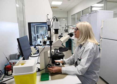 数字化转型加速 意大利企业AI技术采用率实现翻倍增长