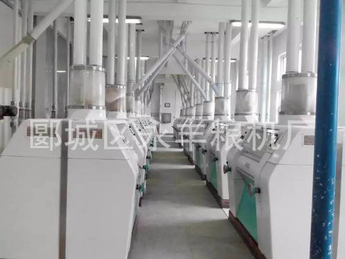 日处理500吨小麦面粉厂 楼房结构成套设备与技术服务的全面解析