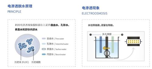 新环环保 污泥处置领域的技术创新与增值服务体系