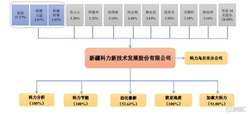 科力股份北交所上会 技术服务行业机遇与挑战并存